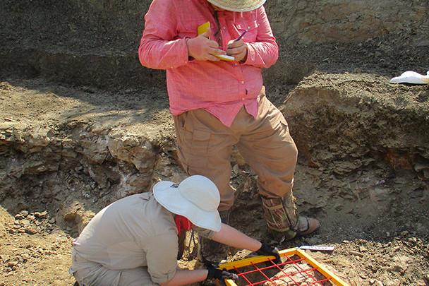 <a href='http://yhc.hwanfei.com'>bv伟德ios下载</a>学生在麦卡尔哈尼采石场测绘三角龙骨骼.
